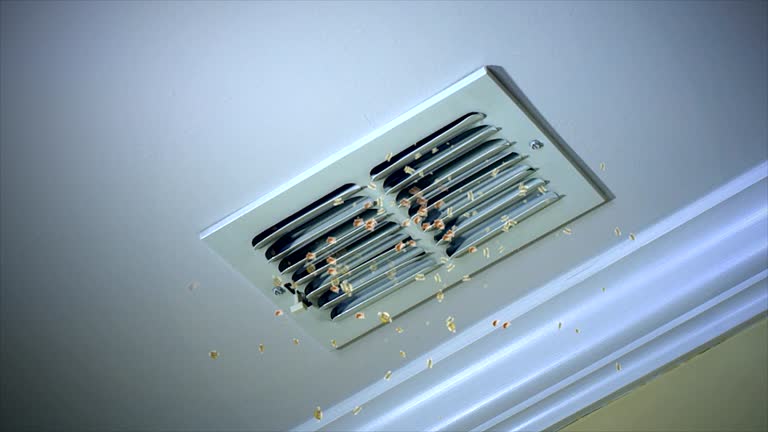 Best Local Air Duct Cleaning Services  in Stonecrest, GA