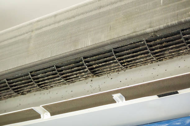 Best Affordable Duct Cleaning Services  in Stonecrest, GA